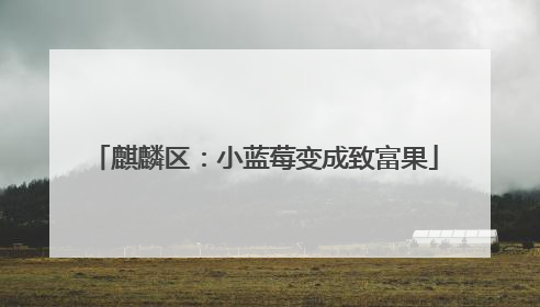 麒麟区：小蓝莓变成致富果