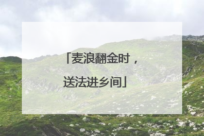 麦浪翻金时，送法进乡间