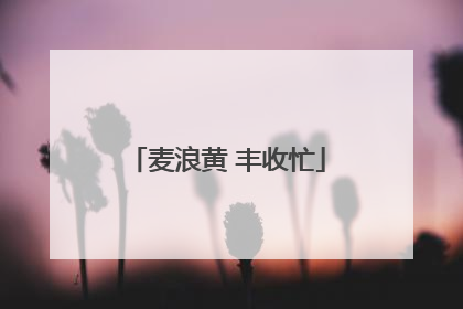 麦浪黄 丰收忙