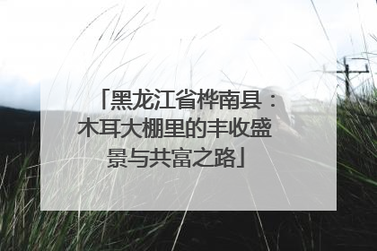 黑龙江省桦南县：木耳大棚里的丰收盛景与共富之路