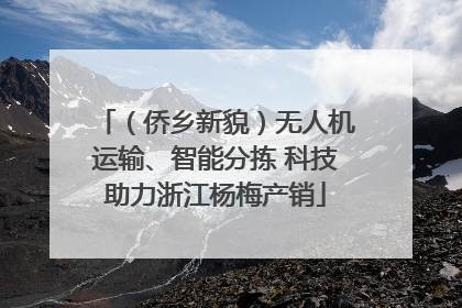 （侨乡新貌）无人机运输、智能分拣 科技助力浙江杨梅产销