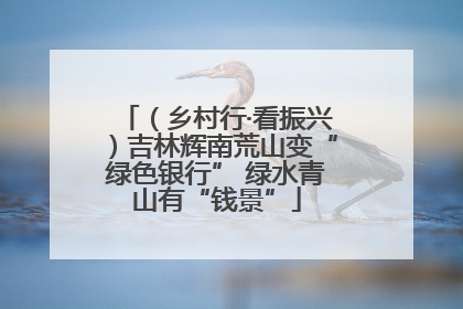 （乡村行·看振兴）吉林辉南荒山变“绿色银行” 绿水青山有“钱景”