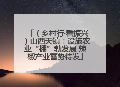 （乡村行·看振兴）山西天镇：设施农业“棚”勃发展 辣椒产业蓄势待发