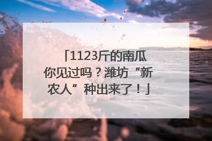 1123斤的南瓜你见过吗？潍坊“新农人”种出来了！