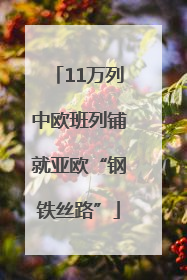 11万列中欧班列铺就亚欧“钢铁丝路”