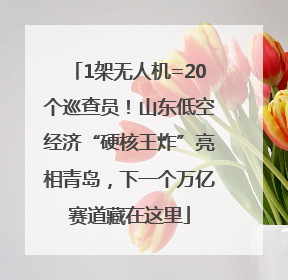 1架无人机=20个巡查员！山东低空经济“硬核王炸”亮相青岛，下一个万亿赛道藏在这里