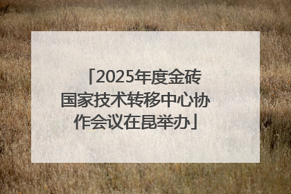 2025年度金砖国家技术转移中心协作会议在昆举办