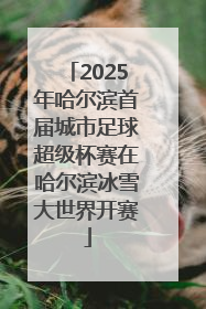 2025年哈尔滨首届城市足球超级杯赛在哈尔滨冰雪大世界开赛