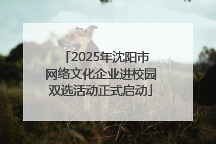 2025年沈阳市网络文化企业进校园双选活动正式启动