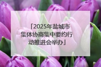 2025年盐城市集体协商集中要约行动推进会举办