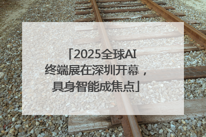 2025全球AI终端展在深圳开幕，具身智能成焦点