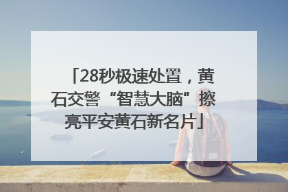 28秒极速处置，黄石交警“智慧大脑”擦亮平安黄石新名片