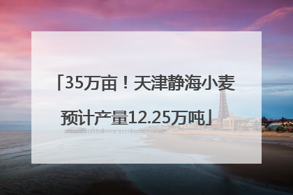 35万亩！天津静海小麦预计产量12.25万吨