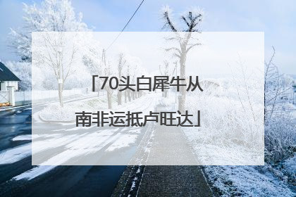 70头白犀牛从南非运抵卢旺达