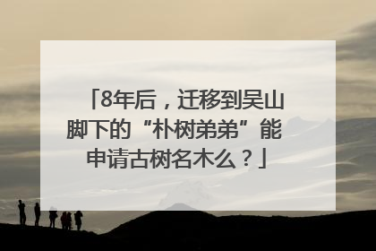 8年后，迁移到吴山脚下的“朴树弟弟”能申请古树名木么？