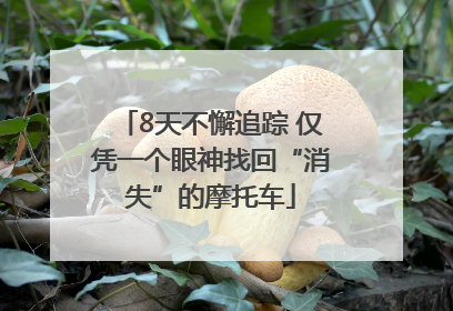 8天不懈追踪 仅凭一个眼神找回“消失”的摩托车
