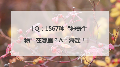 Q：1567种“神奇生物”在哪里？A：海淀！